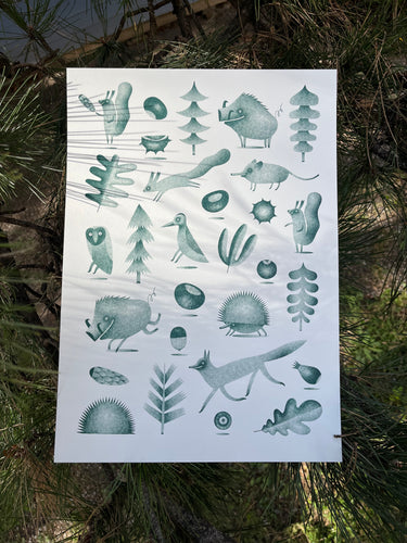 Plakát - Zvířátka v lese